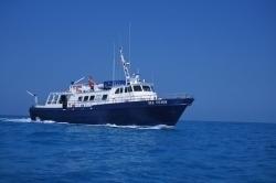 Swiftship Charter / Dive Fully Upgraded