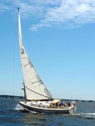 Ultra - Nonsuch 30