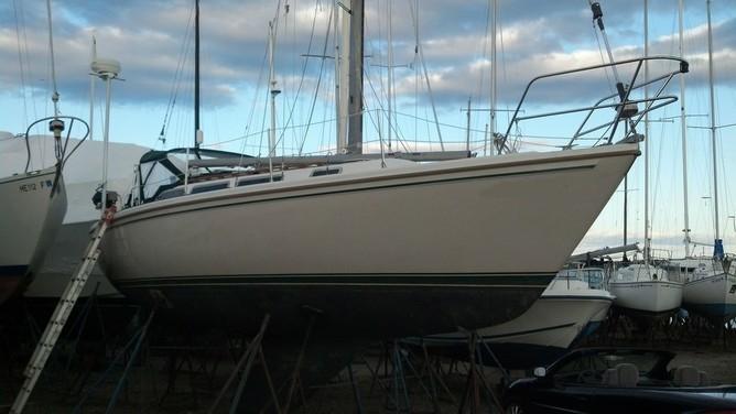 Catalina - 30