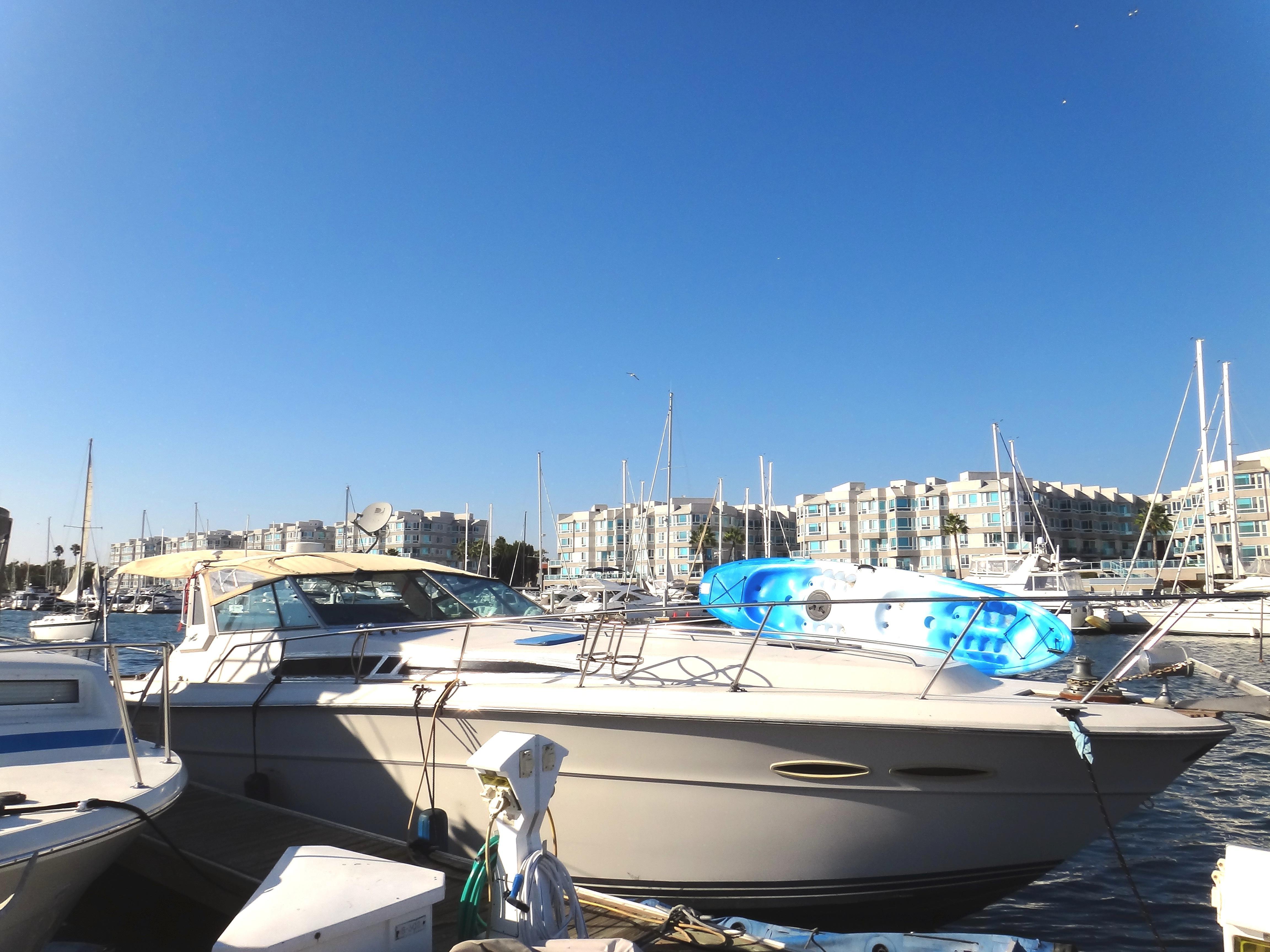 Sea Ray Express Cruiser, Maina del rey