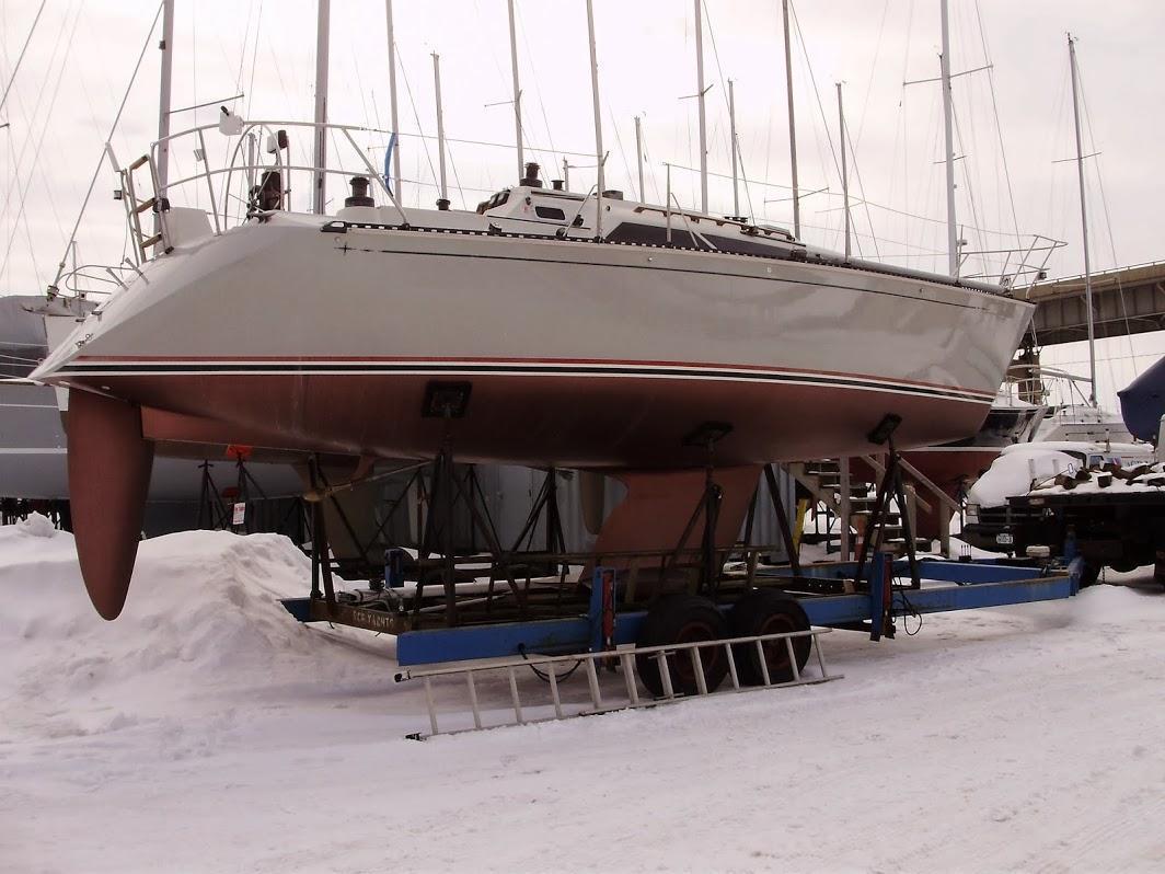 C&C 34 Plus, Buffalo