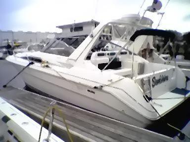 Sea Ray 310 Sundancer, Freeport