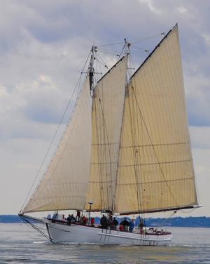 American Passenger Schooner Tall Ship, Maine Coast