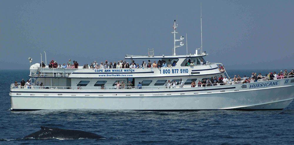 Custom Passenger Ferry, Party, Whale Watching Boat (GPC), Gloucester