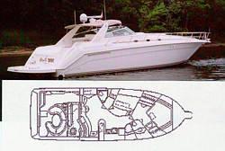 searay 50,