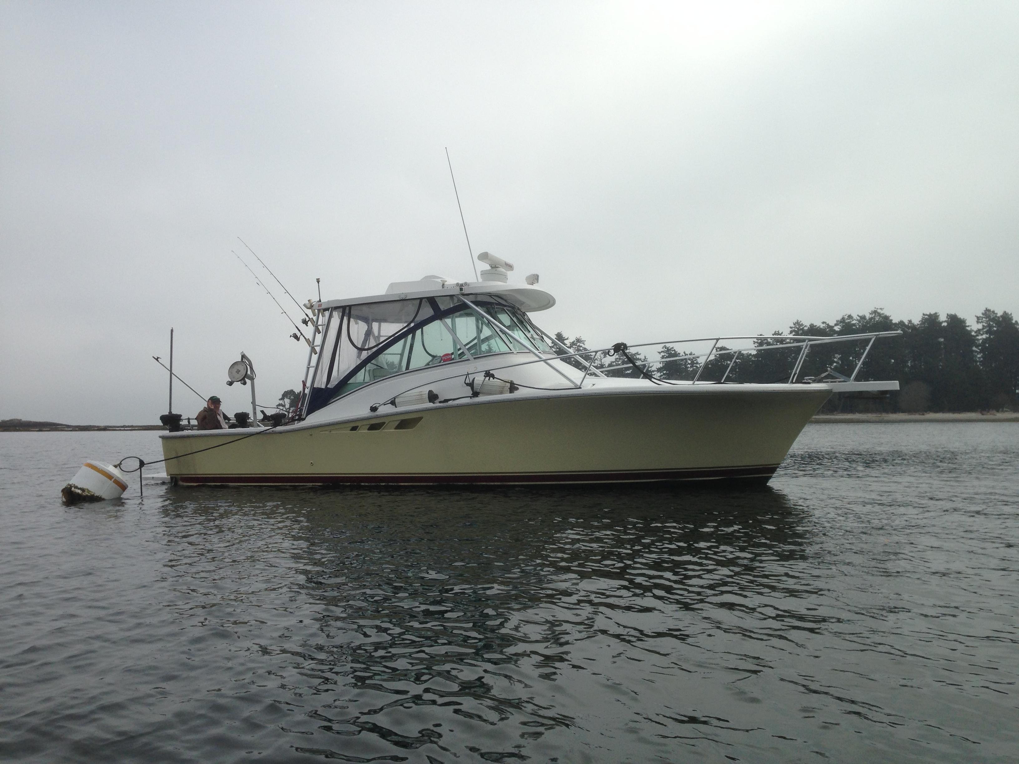 Luhrs 32 Open, Blaine