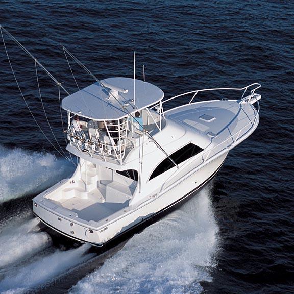 Luhrs 41 Convertible, Hollywood