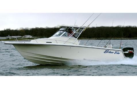 Blue Fin Pro Fish 255 WA, Newport