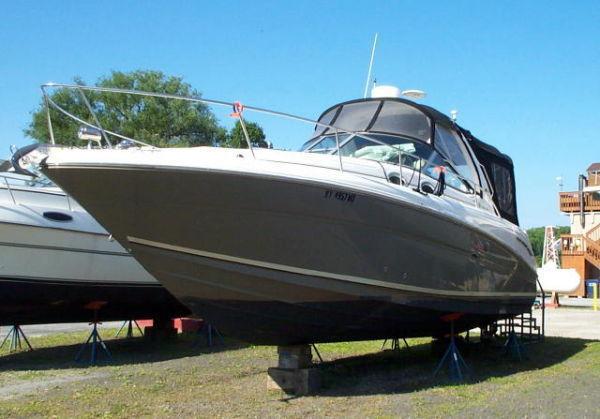 Sea Ray Sundancer, Our yard, Alba