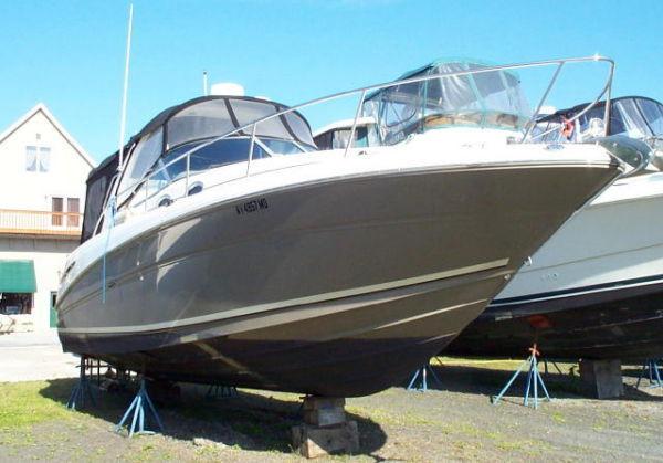 Sea Ray Sundancer, Our yard, Alba