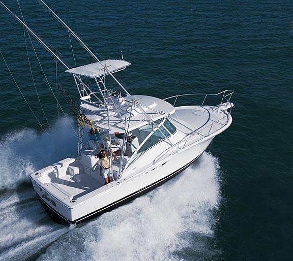 Luhrs 32 Open, Jacksonville