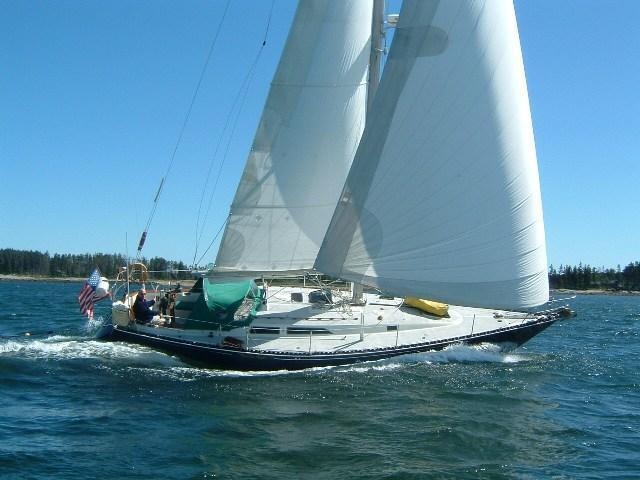 C & C 40, Hampden