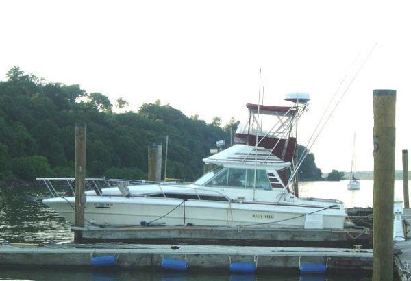 Sea Ray Sportfish Convertible, Sto Point