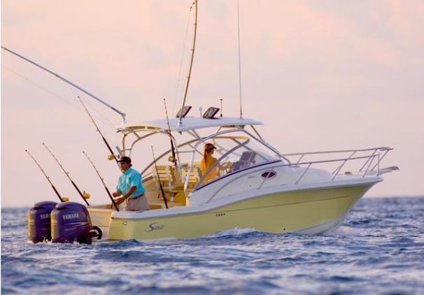 Scout Boats 262 Abaco, Clearwater