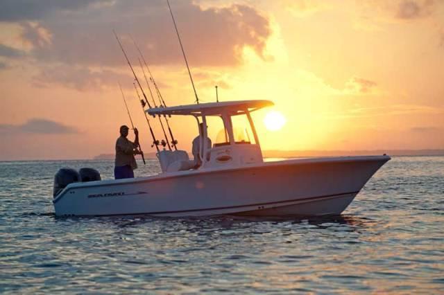 Sea Hunt Gamefish 25, Gulf Shores