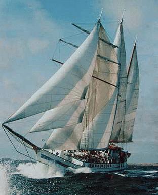 1951 Custom cargo schooner