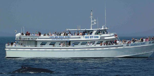 1977 Custom Passenger Ferry, Party, Whale Watching Boat (GPC)