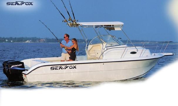 2001 Sea Fox 257 Walk Around