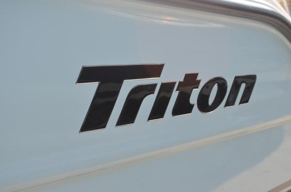2006 Triton 225 DC