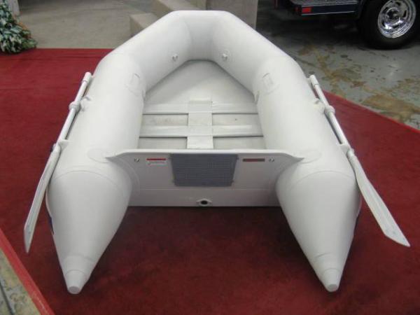 2010 Mercury Inflatable 240 Roll Up