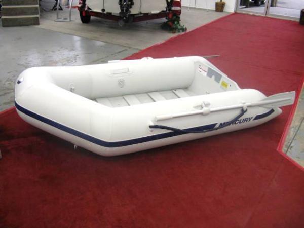 2010 Mercury Inflatable 240 Roll Up