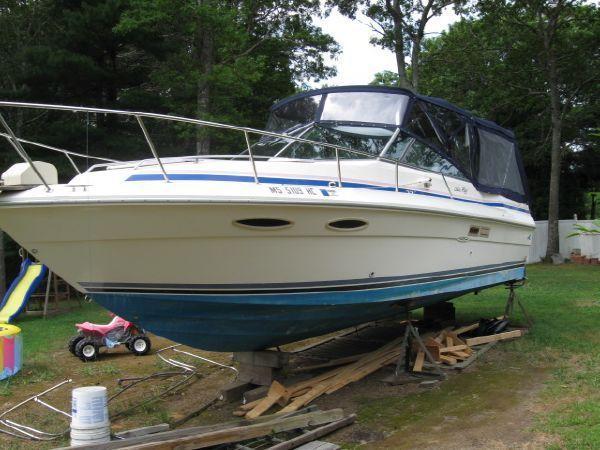 1987 Sea Ray Amberjack 270