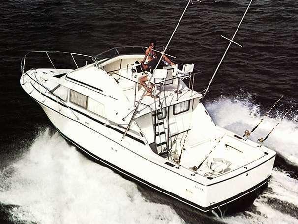 1988 Bertram 33 Sport Fisherman