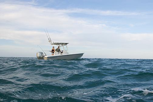 2014 EVERGLADES BOATS Offshore 223 CC