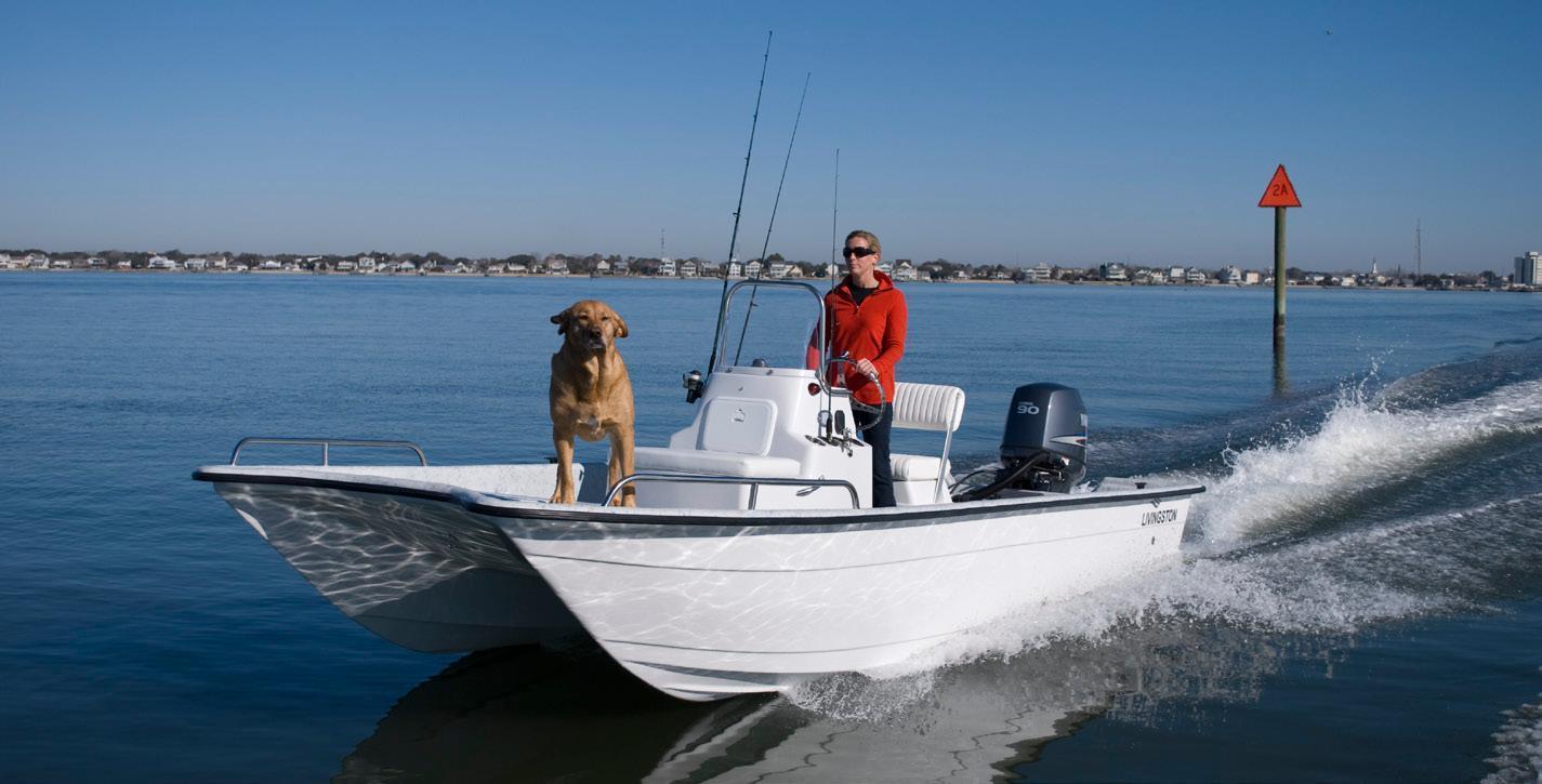 2014 Livingston LV 19 Classic